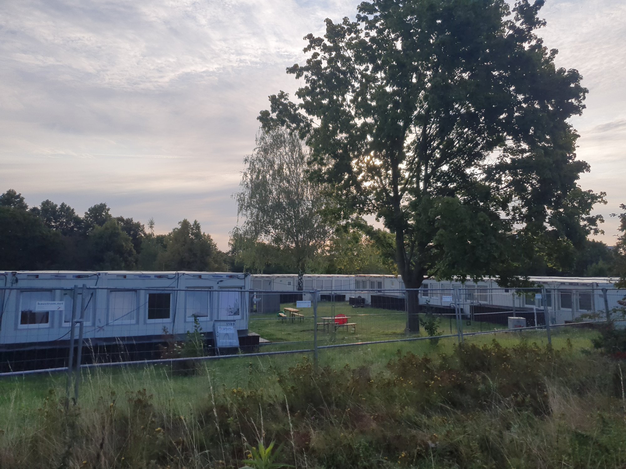 Blick auf die Wohncontainer der Unterkunft „Geystraße“ mit einem großen Baum in der Mitte
